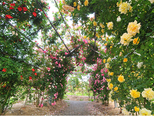 หอระฆังเมืองคาวาโกเอะ