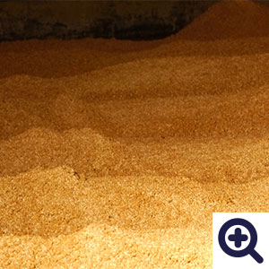 蒸した大豆と炒って割った小麦を混ぜる