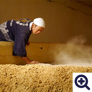 大豆と小麦に麹を混ぜ合わせる手入れ