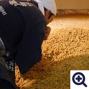 麹の力によって醗酵が始まる